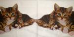 048 Cats - 3-ply - Home Fashion